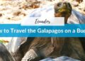 How to Travel to the Galapagos Islands on a Budget