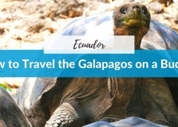 How to Travel to the Galapagos Islands on a Budget