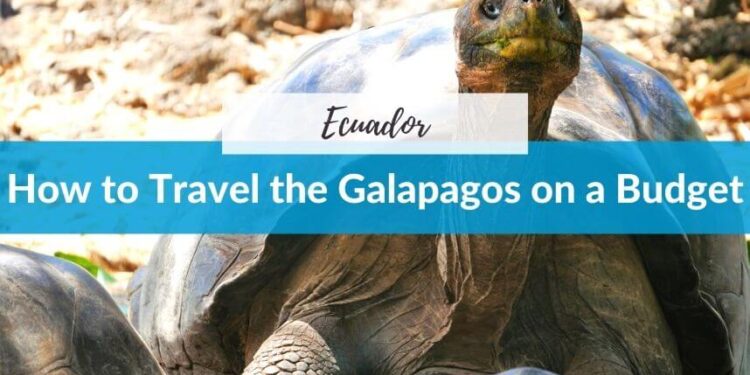 How to Travel to the Galapagos Islands on a Budget