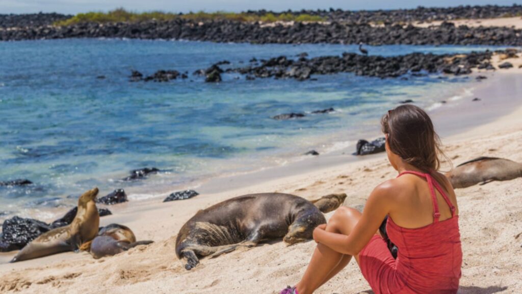 Galapagos islands packing list guide everything you need to pack – Artofit